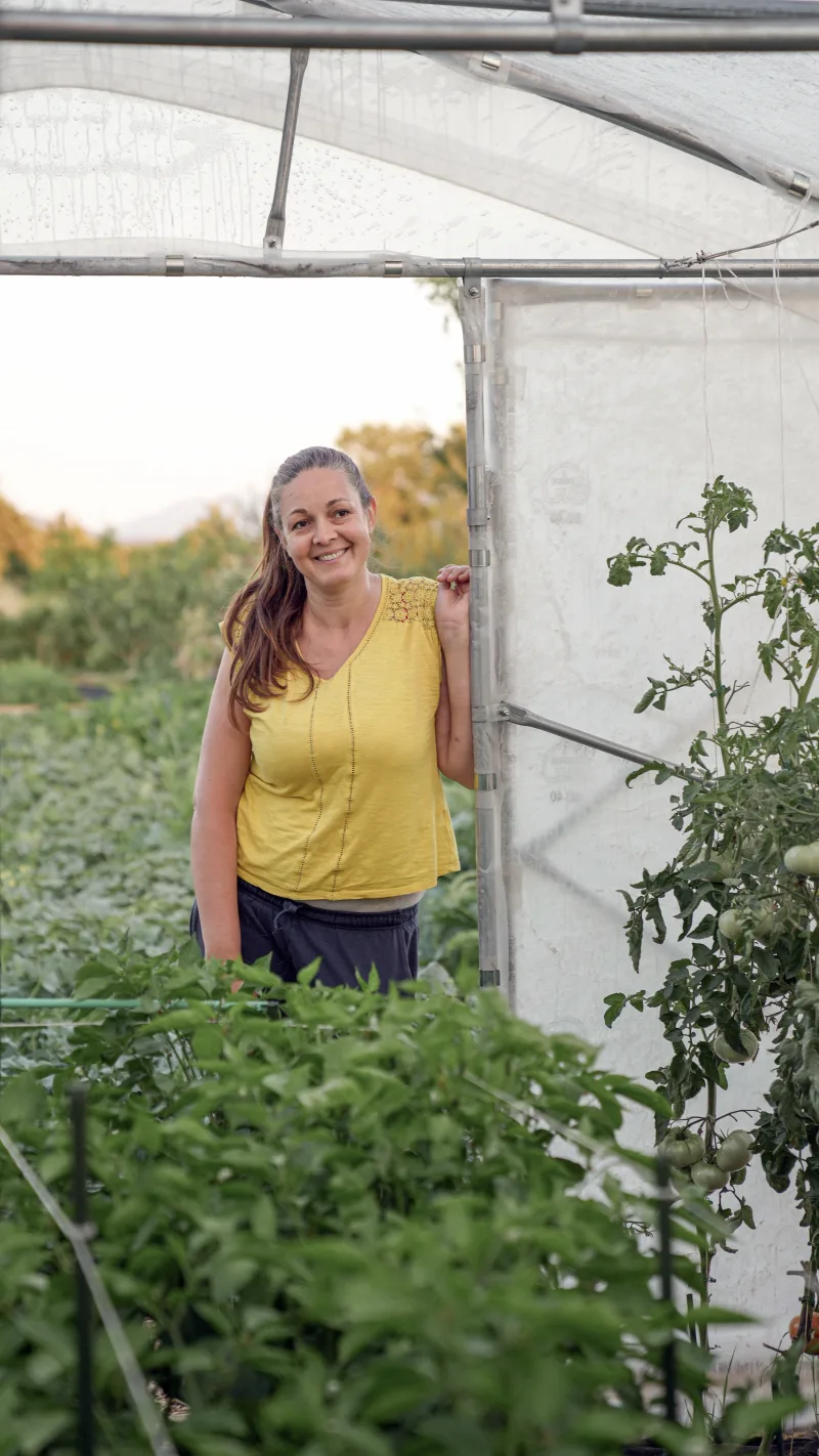 Ivana u Mrvica plasteniku, rajčice se penju s obje strane